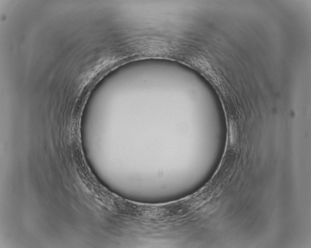 X0000086890579200704231130