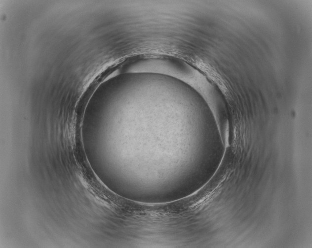 X0000086890580200704231130