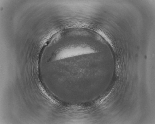 X0000086890581200704231130