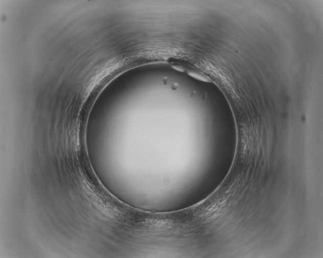 X0000086890582200704231130