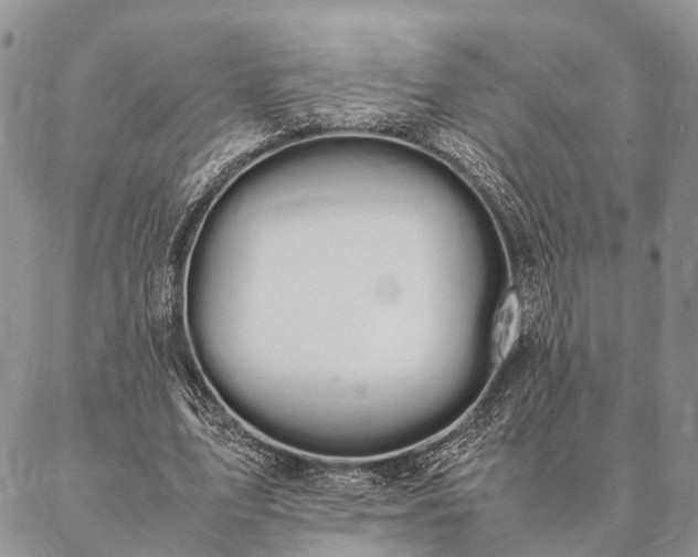 X0000086890583200704231130