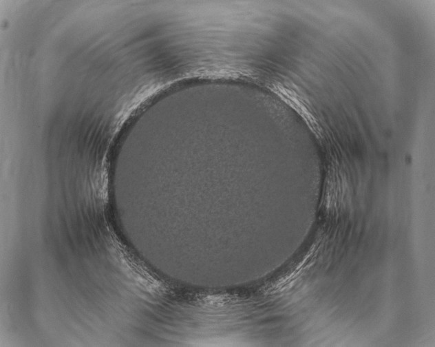 X0000086890584200704231130