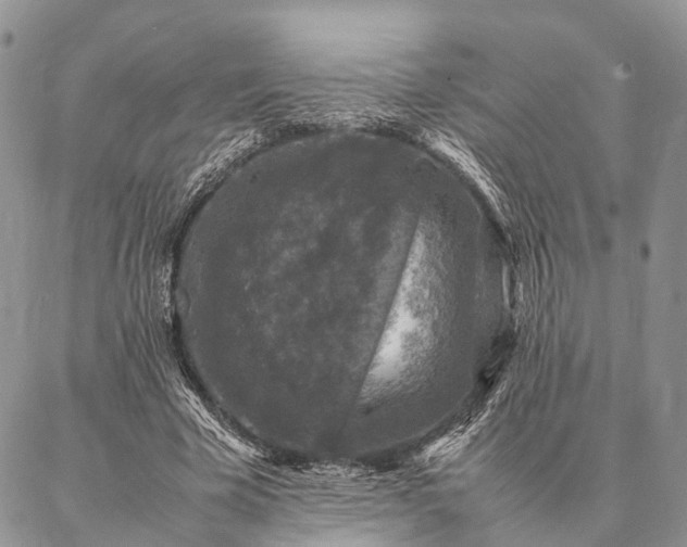 X0000086890585200704231130