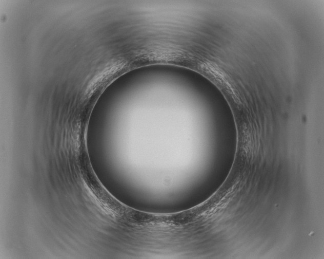 X0000086890586200704231130