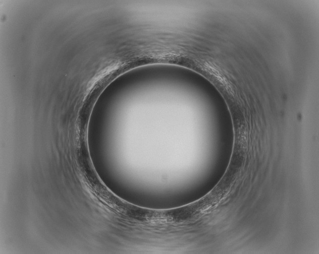 X0000086890587200704231130