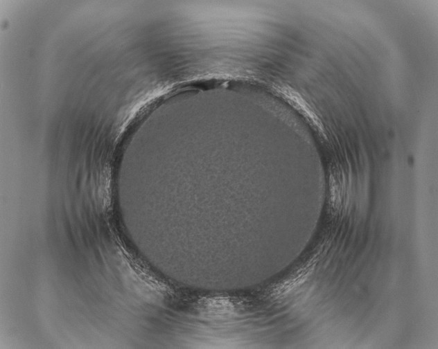 X0000086890588200704231130