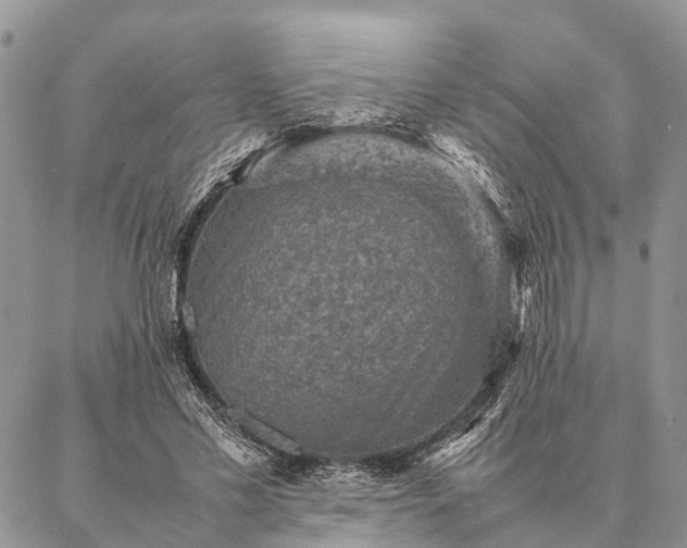 X0000086890589200704231130