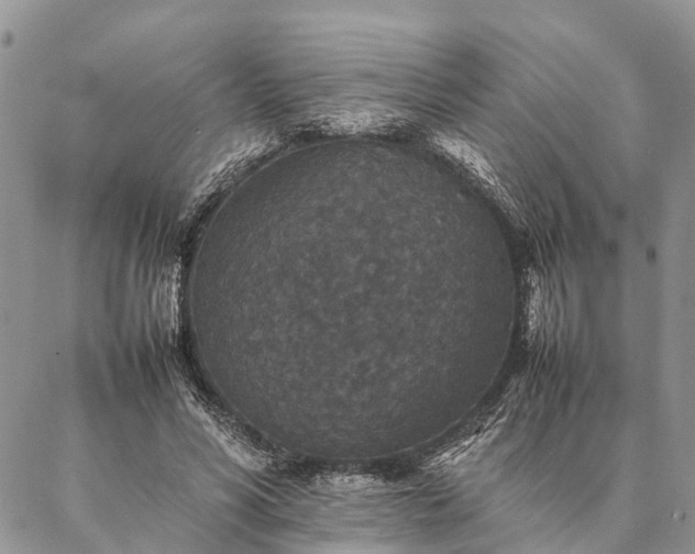 X0000086890590200704231130