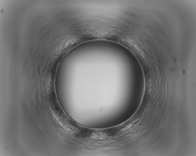 X0000086890591200704231130