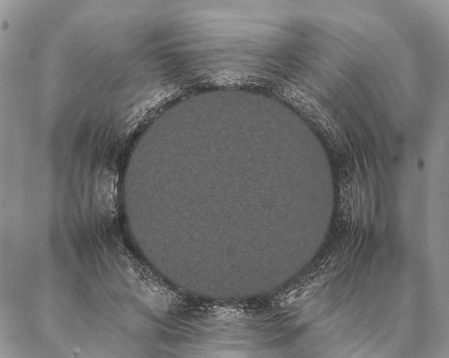 X0000086890592200704231130