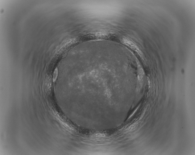 X0000086890593200704231130