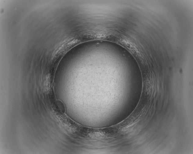 X0000086890594200704231130