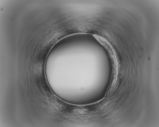 X0000086890595200704231130