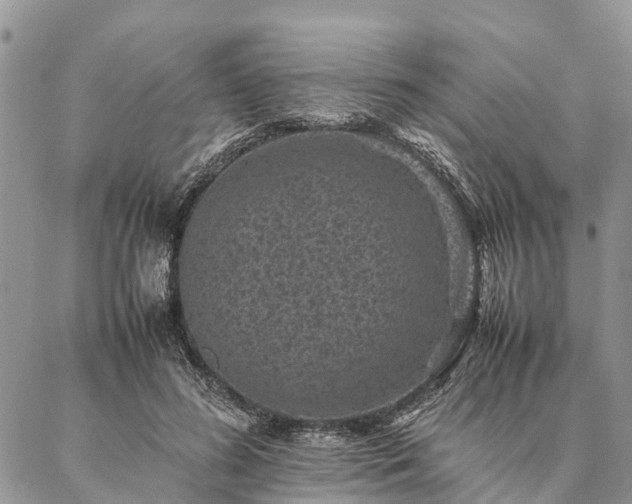 X0000086890596200704231130