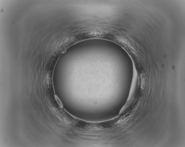 X0000086890597200704231130