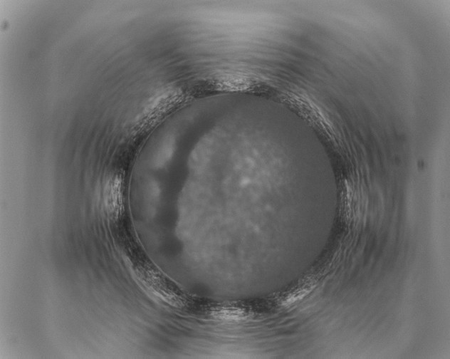 X0000086890598200704231130