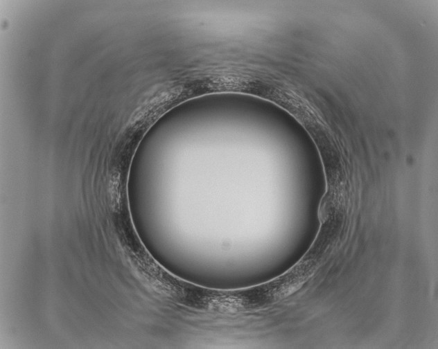 X0000086890599200704231130