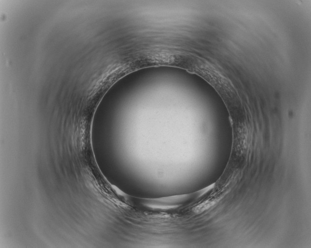 X0000086890600200704231130