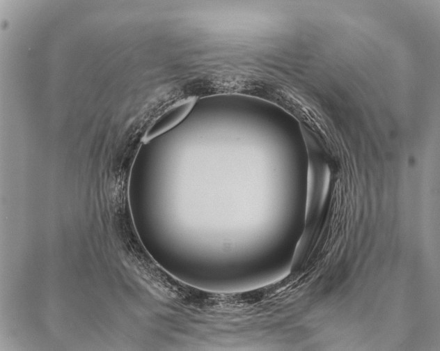 X0000086890601200704231130