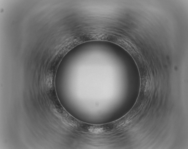 X0000086890602200704231130