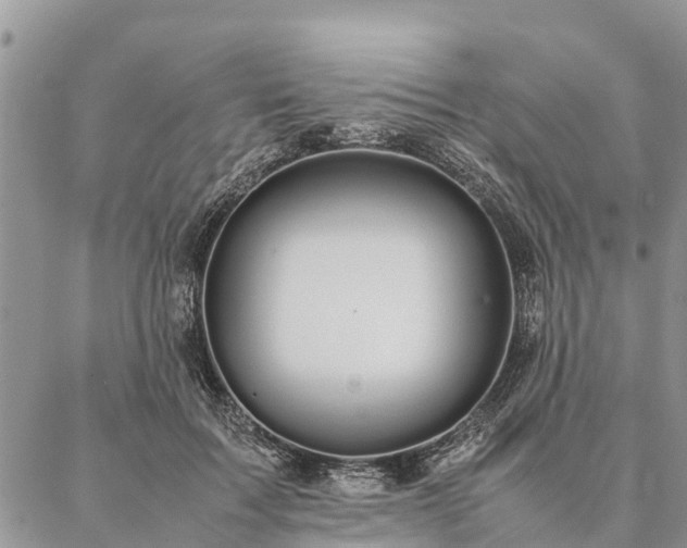 X0000086890603200704231130