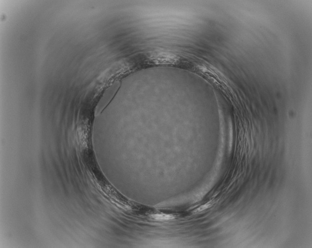 X0000086890604200704231130