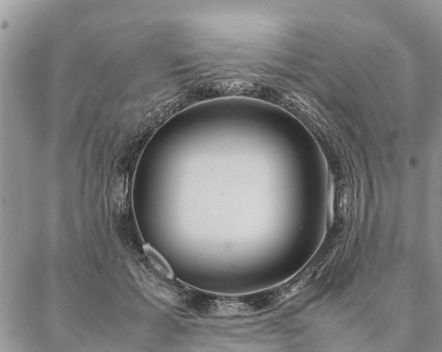 X0000086890605200704231130