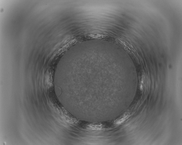 X0000086890606200704231130