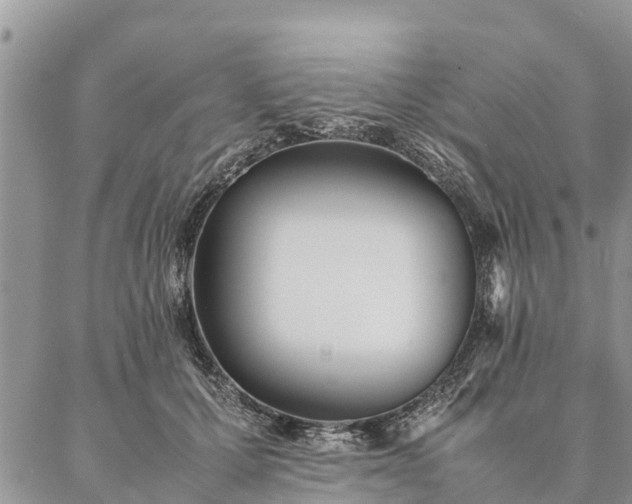 X0000086890607200704231130