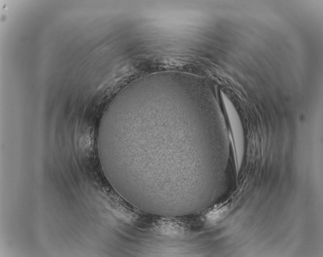 X0000086890608200704231130