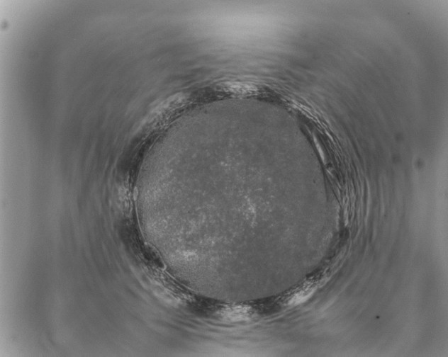 X0000086890609200704231130