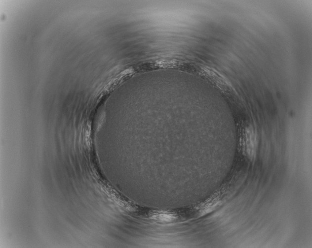 X0000086890610200704231130