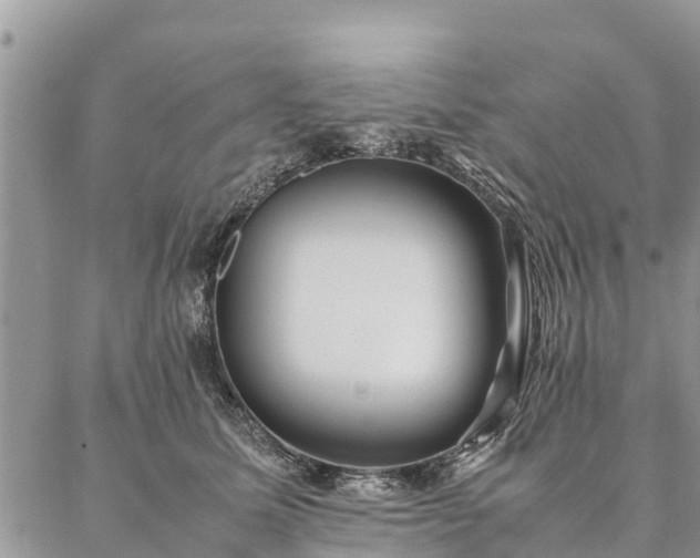 X0000086890611200704231130