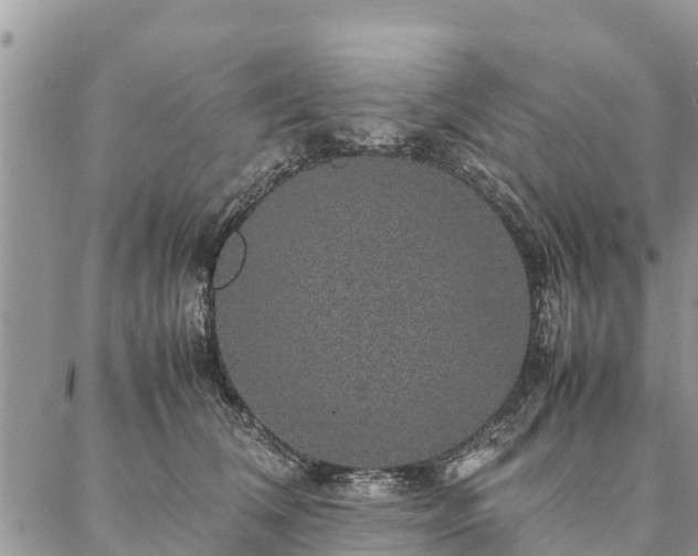 X0000086890612200704231130