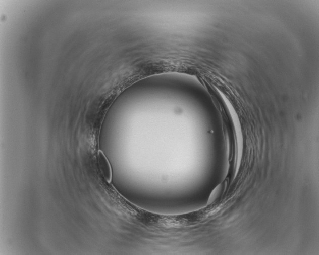 X0000086890613200704231130