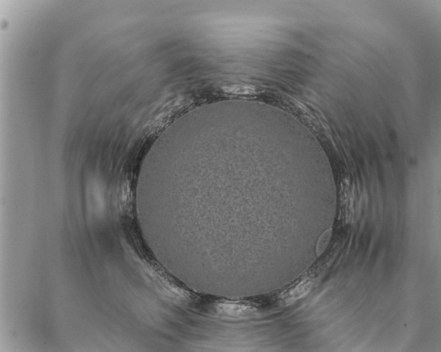 X0000086890614200704231130