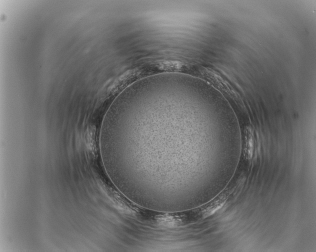 X0000086890616200704231130