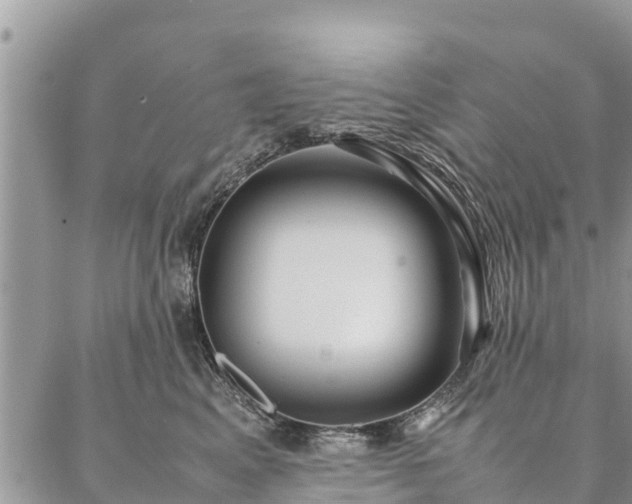 X0000086890617200704231130