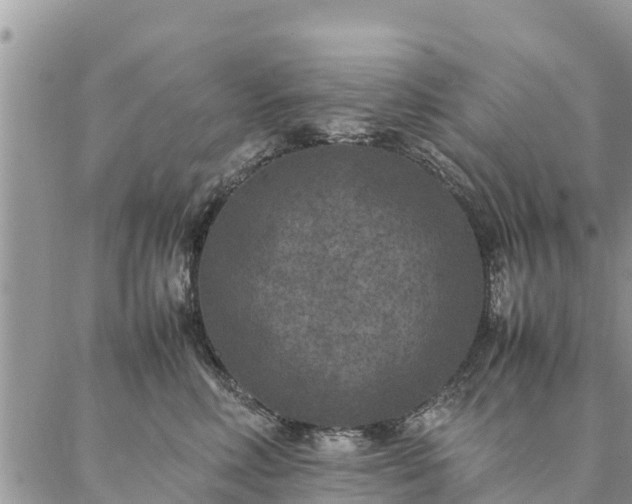 X0000086890618200704231130