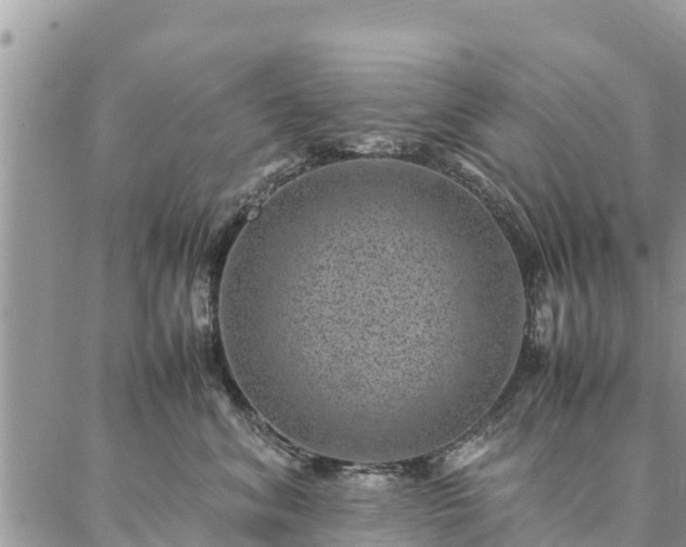 X0000086890620200704231129