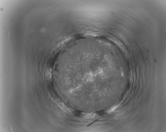 X0000086890621200704231129