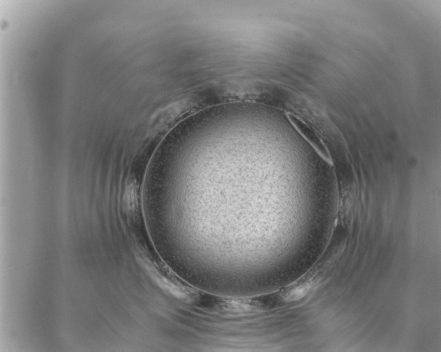 X0000086890623200704231129