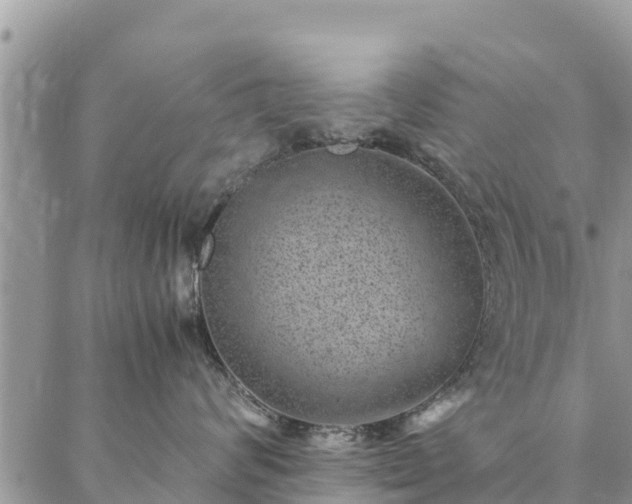 X0000086890624200704231129