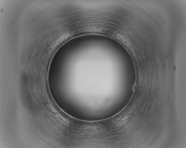 X0000086890625200704231129