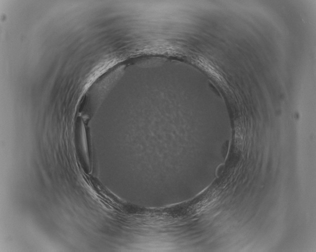 X0000086890626200704231129