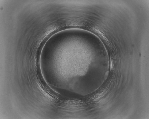 X0000086890627200704231129