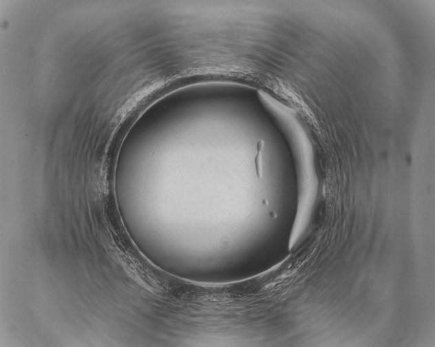 X0000086890628200704231129