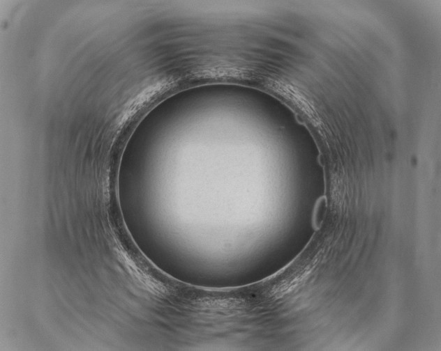 X0000086890629200704231129