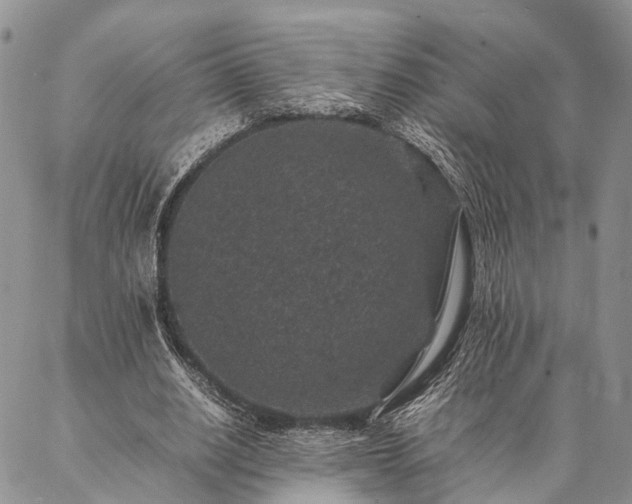 X0000086890630200704231129