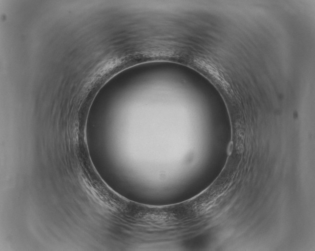 X0000086890631200704231129